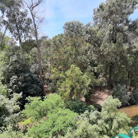 Forest View Lisboa Ngoại thất bức ảnh