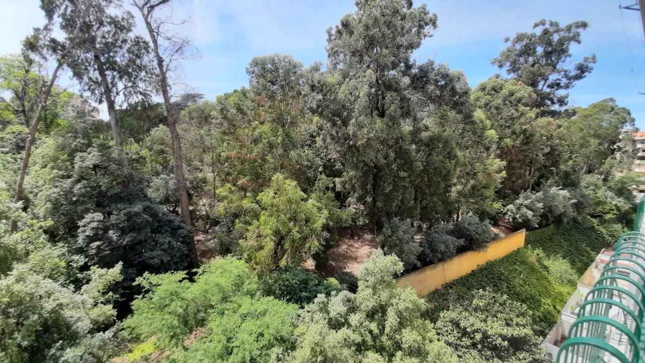 Forest View Lisboa Ngoại thất bức ảnh