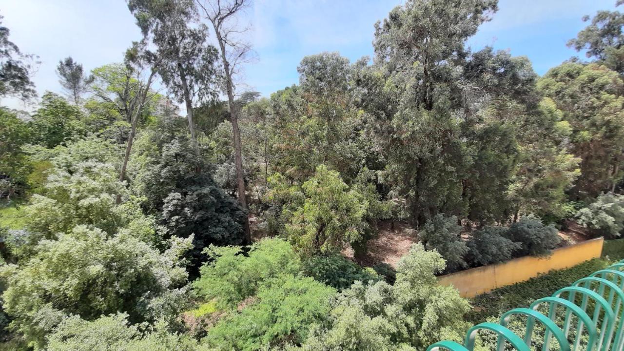 Forest View Lisboa Ngoại thất bức ảnh